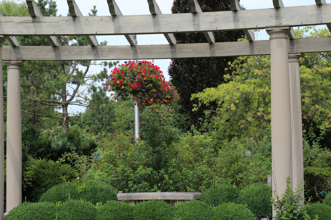 Pergola et jardin