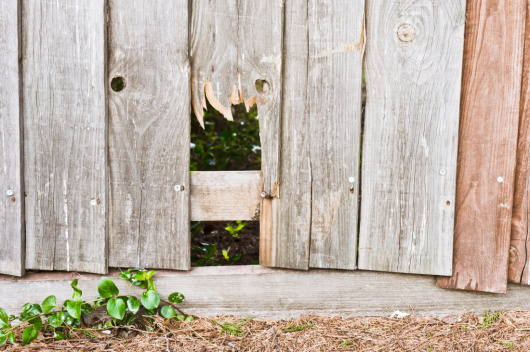 Comment réparer ou restaurer une clôture abîmée ?