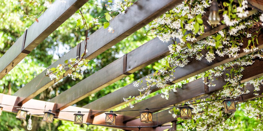 La Pergola en bois en harmonie avec votre jardin