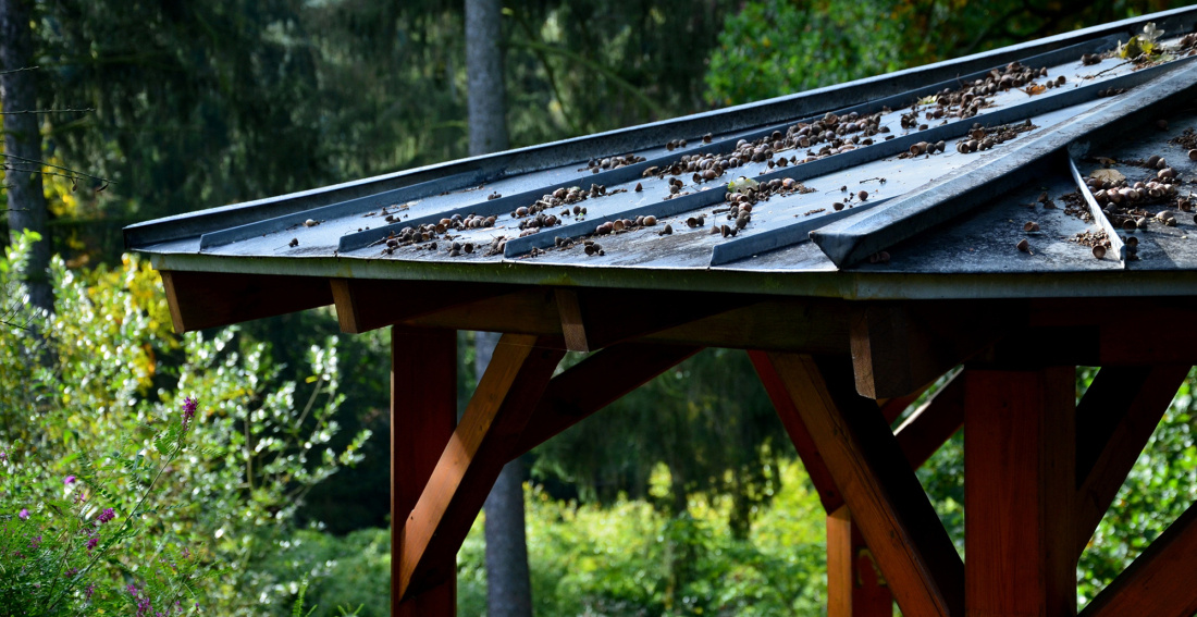 Les spécificités de l’entretien d’une pergola bois